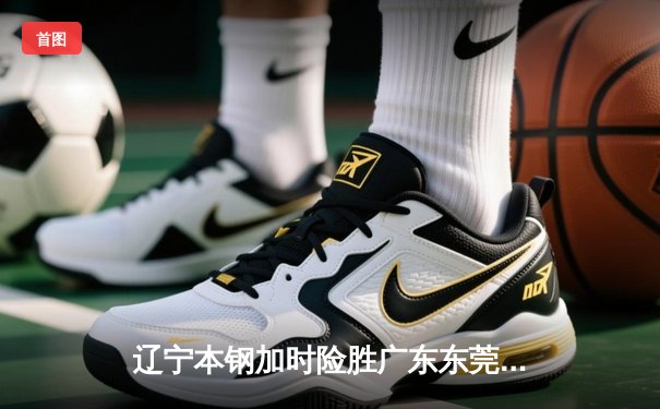辽宁本钢加时险胜广东东莞 大比分3-2夺得CBA总冠军
